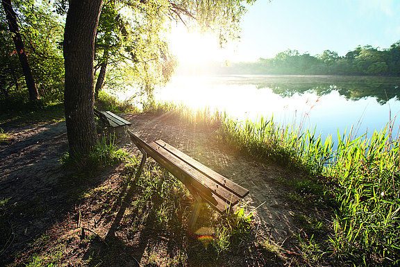 bench next to water